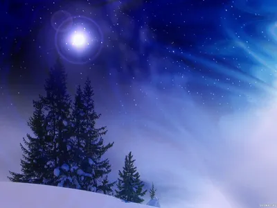 Ель Рождественская 3 (мокрый снег, белые кончики, шишки) | РУСЬ-ЁЛКА