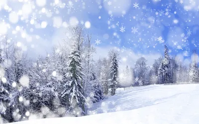 Заснеженная елка литая | Купить искусственные елки со снегом
