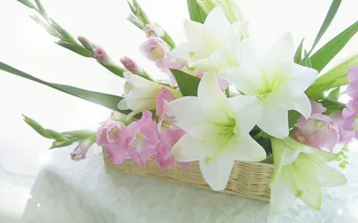 Pin by KJ on Flowers, Gladiolus foto-гладиолусы фото, цветы | Christmas  wreaths, Beautiful flowers, Flowers