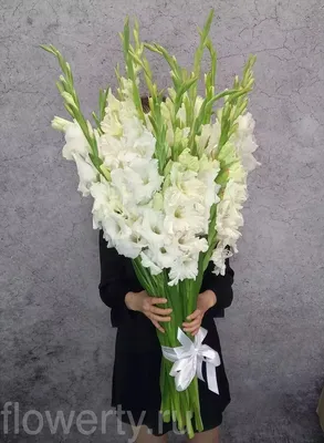 Букет \"Летние гладиолусы\" - заказать и купить цветы с доставкой | Donpion