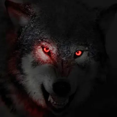 Безумно красивый глаз волка» — создано в Шедевруме