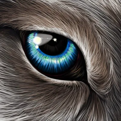 wolf eyes (глаза волка) Andrey - Illustrations ART street