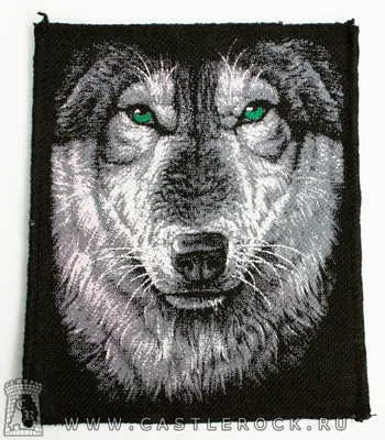 Волк красивый голубые глаза черная …» — создано в Шедевруме