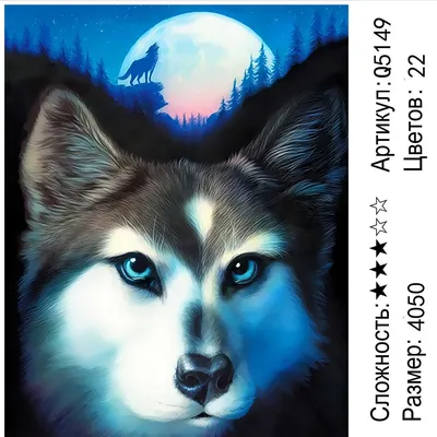 фото волка в профиль с открытыми глазами на черном фоне, картинки волка,  волк, животное фон картинки и Фото для бесплатной загрузки