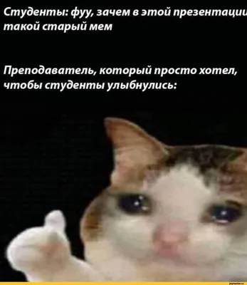 Грустные котики | ВКонтакте