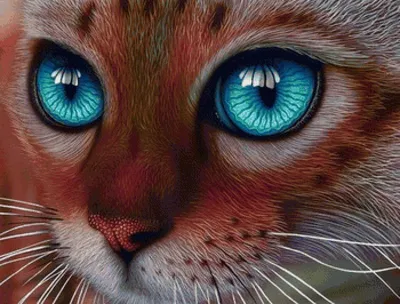 Котик с грустными глазами - 79 фото