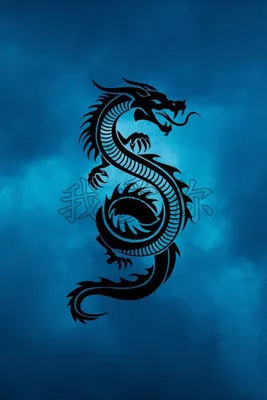 Татуировка с драконом на руке от студии Syndicate Tattoo