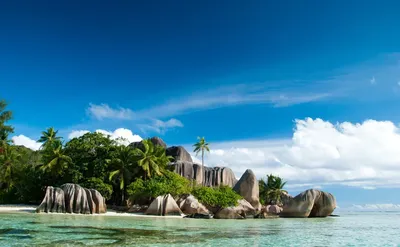 Туры на острова Индийского океана продаются со скидками до 50% | Ассоциация  Туроператоров