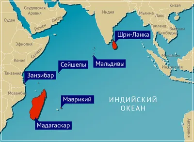Индийский океан: интересные факты о третьем по величине океане | Морские  обитатели | Дзен
