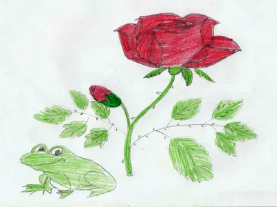 Технологическая карта урока литературного чтения в 4-м классе \"В.М.Гаршин « Сказка о жабе и розе»\"