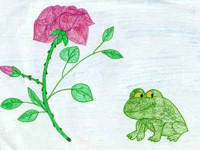 Жаба и роза раскраска - 61 фото