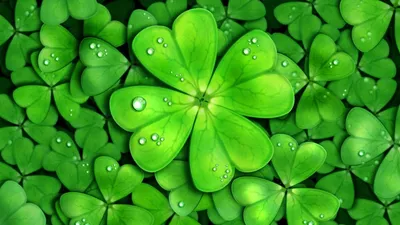День святого Патрика в 3d рендеринге зеленого клевера, клевер удачи, клевер,  ирландский фон картинки и Фото для бесплатной загрузки