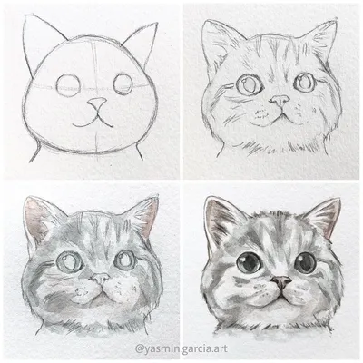 Котик рисунок карандашом для детей - 55 фото