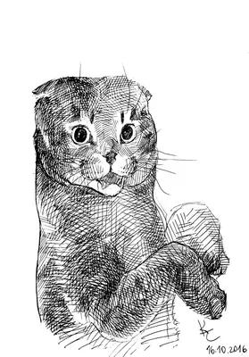 Рисунки кошек, больших и маленьких) | Пикабу