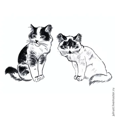 Картина Котята рисунок углем графика кошки черно-белый – заказать на  Ярмарке Мастеров – 4J321BY | Картины, Москва