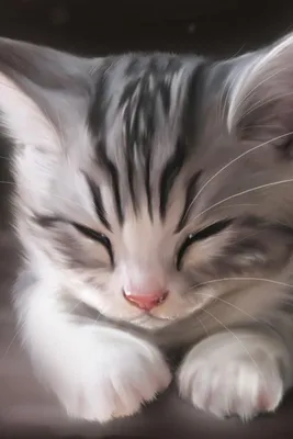 Рисунок кота мордочка карандашом - 67 фото