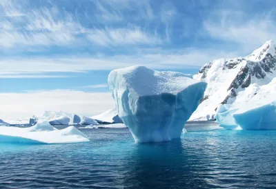 кубики льда фото кубиков льда Фон Обои Изображение для бесплатной загрузки  - Pngtree