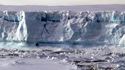 кубики льда на черном фоне Обои Изображение для бесплатной загрузки -  Pngtree