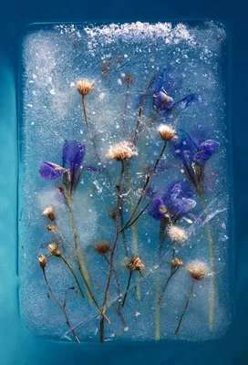 Искусственные стеклянные кубики льда, 20 мм | AliExpress