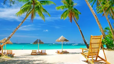 Летний отдых и пляж | Векторная иллюстрация, иллюстрации Включая: лето и  отпуск - Envato Elements