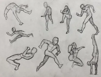 Иллюстрация 8 из 9 для Анатомия для художников. Фигура человека в движении  - Том Флинт | Лабиринт -