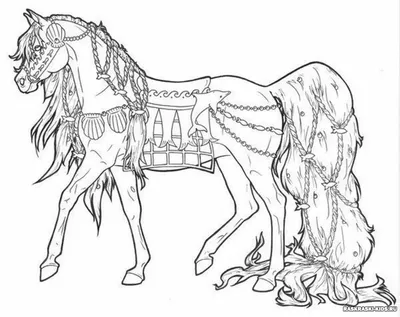 Картинки лошадей раскраски обои