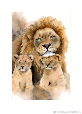 Львята с мамой | Пикабу