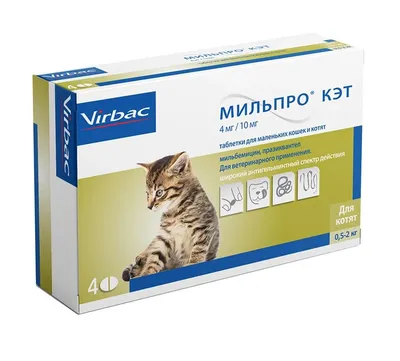 МильбеПЕТ GIGI таблетки от глистов для котят и маленьких кошек весом до 2  кг, упаковка 2 таблетки - купить по выгодной цене.