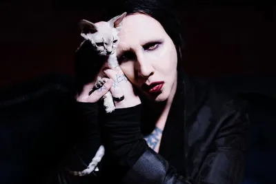 MARILYN MANSON - WE ARE CHAOS