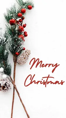 Merry Christmas 2023: Wishes, Images, Quotes, Messages for Facebook,  Instagram, WhatsApp Status and Stories
