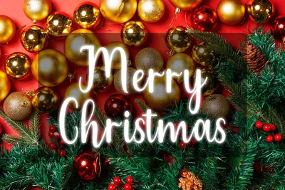 Merry Christmas Svg, Merry Xmas Svg,christmas Quote Svg,christmas  Silhouette Svg , Christmas Vector,reindeer Svg, Cricut Cut Files,shirt Svg  - Etsy Israel