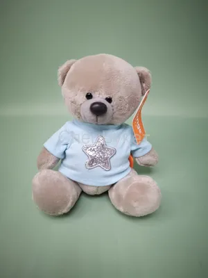 Plush: Мягкая игрушка \"Медвежонок в голубой футболке\", 30 см: купить мягкую  игрушку по доступной цене в Алматы, Казахстан | Интернет-магазин Marwin