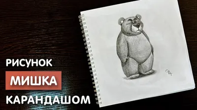 Милый медведь держа книгу и карандаш Иллюстрация вектора - иллюстрации  насчитывающей мило, хищник: 114214352
