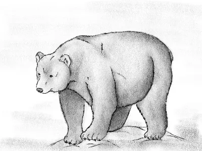 Маша и медведь | Пикабу