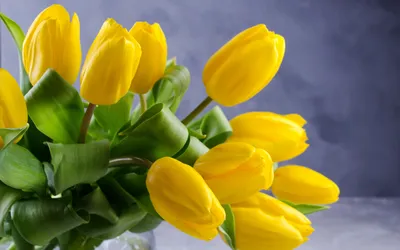 Картинки по запросу широкоформатные обои для рабочего стола весна |  Blossoms art, Wonderful flowers, Blossom