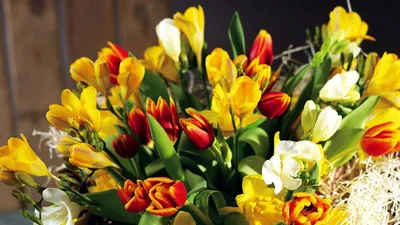 Обои тюльпаны, цветы, нарциссы, букет, весна, шикарно, корзина картинки на рабочий  стол, фото скачать бесплатно