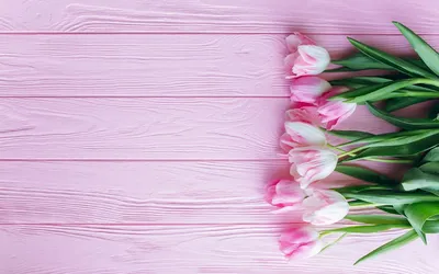 Фон рабочего стола где видно тюльпаны разные, весенние цветы, красивые  обои, Tulips early, spring flowers, beautiful wallpaper