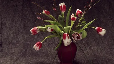 Обои Тюльпаны в вазе, картинки - Обои для рабочего стола Тюльпаны в вазе  фото из альбома: (цветы)