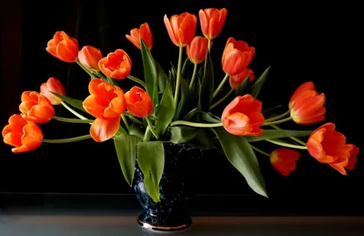Обои тюльпаны, цветы, распущенные, букет, размытость картинки на рабочий  стол, фото скачать бесплатно