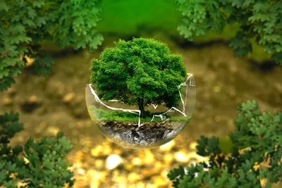 Больше 5 000 бесплатных фотографий на тему «Экология» и «»Природа - Pixabay