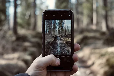 Качаем видео с Instagram на телефон и ПК: лучшие способы