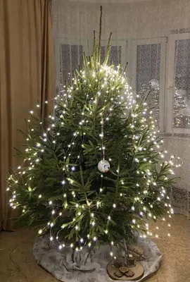 Купить Наряженная елка New Christmas-2 оптом