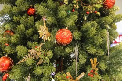 В Бугульме появилась новогодняя елка, наряженная горожанами
