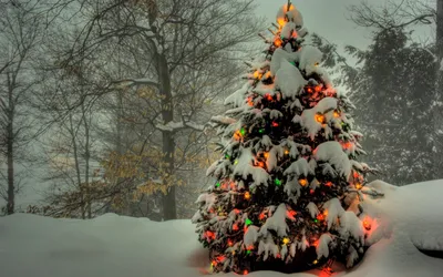 Как украсить новогоднюю елку | Блог бабушки Сирины | Дзен