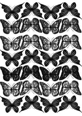 Ночные бабочки и мотыльки. | . | Дзен