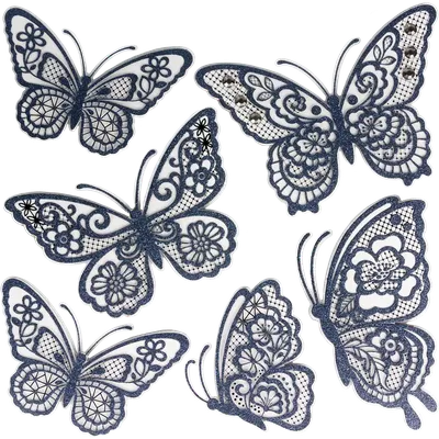Ночные бабочки из Нижегородской