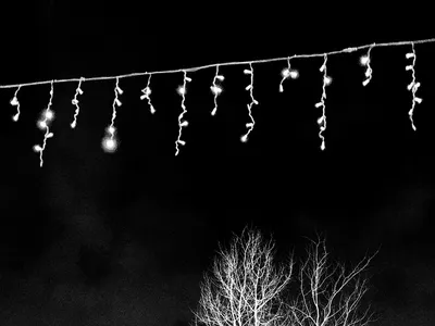 monochrome, новый год картинки зима черно-белые, Темное изображение, зима  фонарь влюбленные, rainy чб, чёрное белое, Свадебный фотограф Москва
