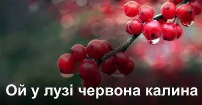 ОЙ-ОЙ-ОЙ, БЕЖИМ! ))) Приколы с котами | Мемозг 1165 - YouTube