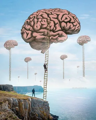 Brain On Blue Background Lettering Health Stock Photo 2312858751 |  Shutterstock
