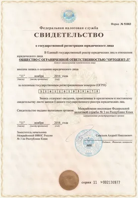 Свидетельство о государственной регистрации ООО - Dokia